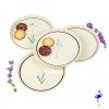 Lot 4 assiettes Botanical 18 cm