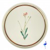 Lot 4 assiettes Botanical 18 cm